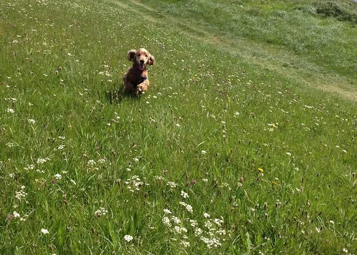 Cosy Milltown Malbay